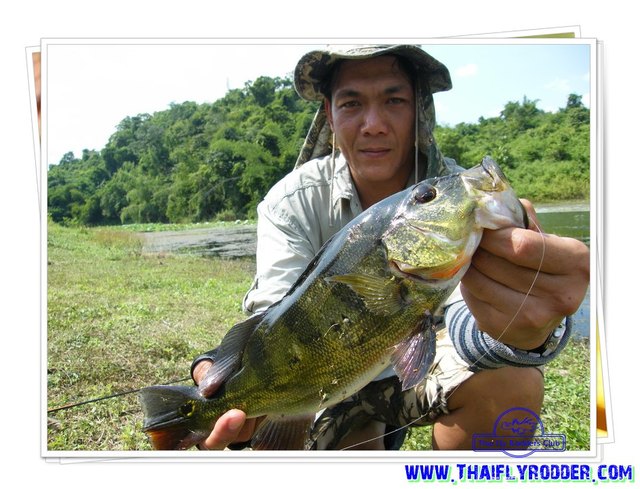 ขออนุญาตถาม  เกี่ยวกับปลาชนิดนี้ครับ