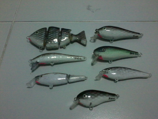 รวมปลั๊ก 
