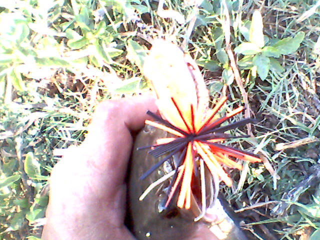 ลองส่ง