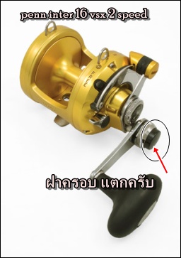 penn inter 16 vsx 2 speed