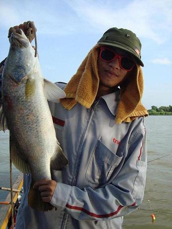 บางปะกงกับวันน้ำเขียววันแรก 9/11/55
