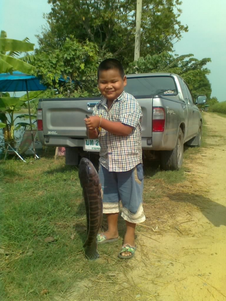 พาลูกไปตกปลา...ชะโด!!