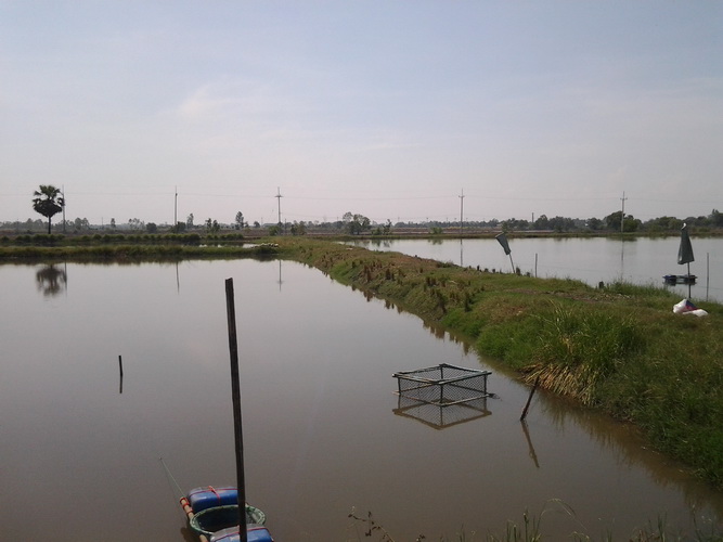 25/11/55น้องช่อนบ้านสร้างมาอีกแล้ว
