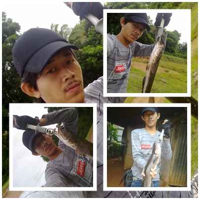 ช่อน @ชัยภูมิ@