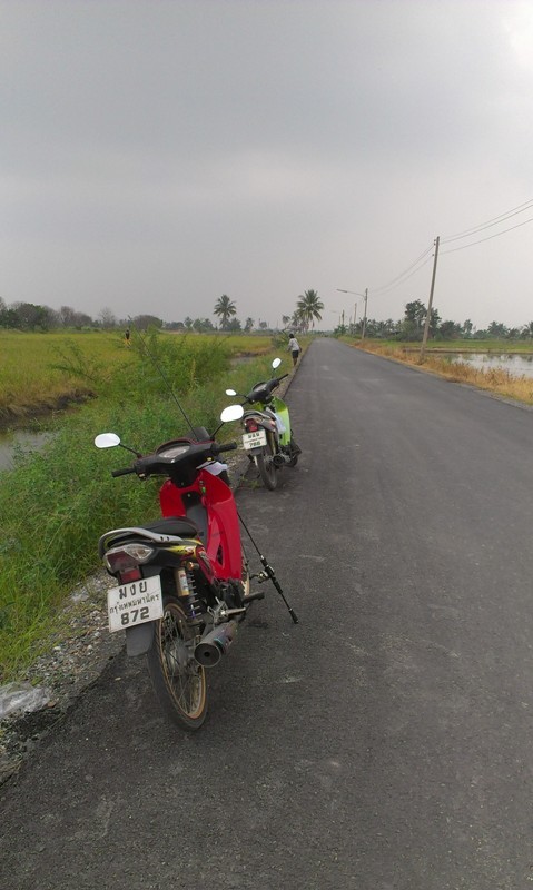 ปลานาศาลายา