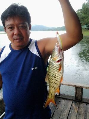 ปลาแก่งกระจาน
