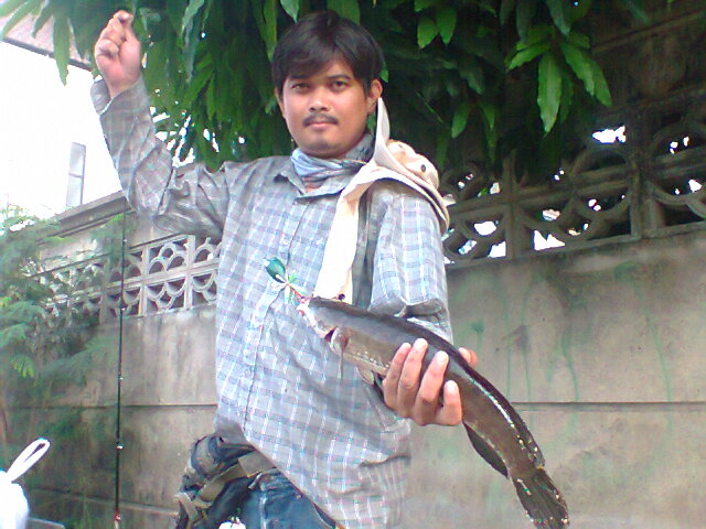 เอาไว้ล่าช่อน