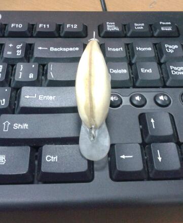 ลองทำตื้น...พอไหวไหมนี่ แนะนำหน่อยครับ