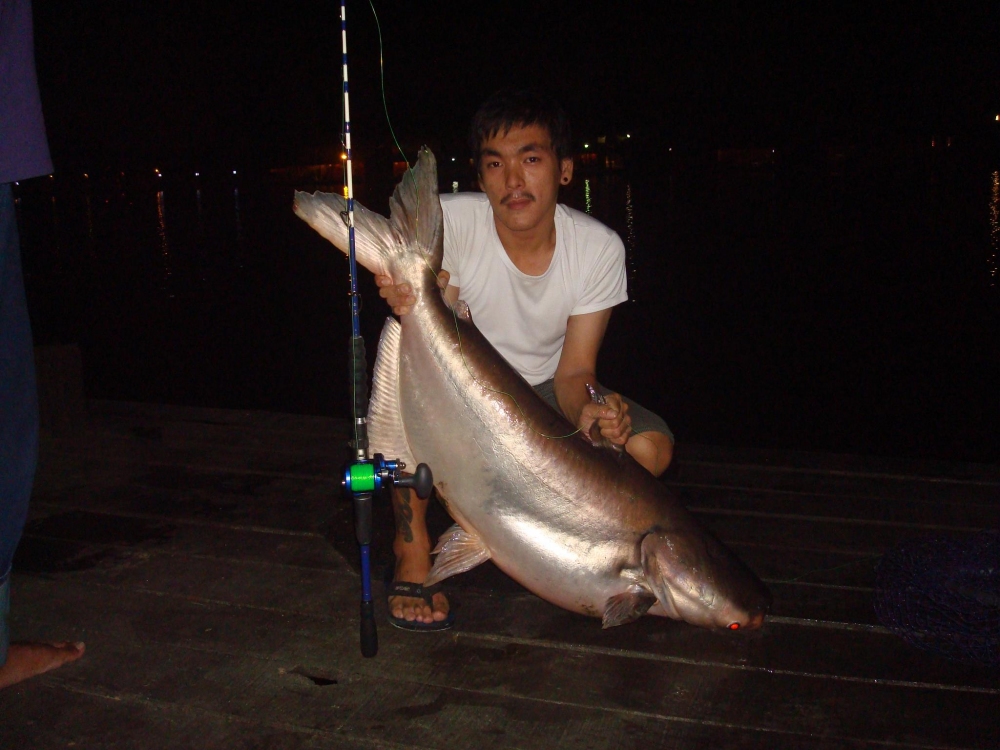ลองส่งคับ