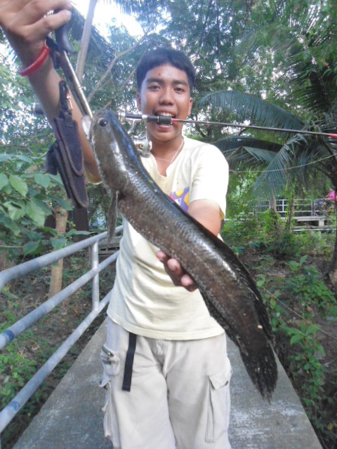 ช่อนๆ