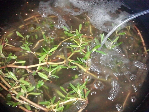ชอบอะ..ปลาเล็ก..ตกสนุกกินอร่อย^^