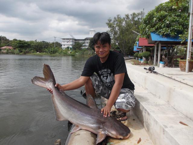 พักผ่อนตกปลากับครอบครัว ที่บ่อตกปลาแสงทอง ฟิชชิ่งปาร์ค  ครับ