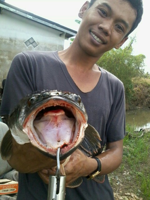 หลบมรสุมชีวิต ไปพิชิตชะโดร่องสวน ที่สามโคกจร้า