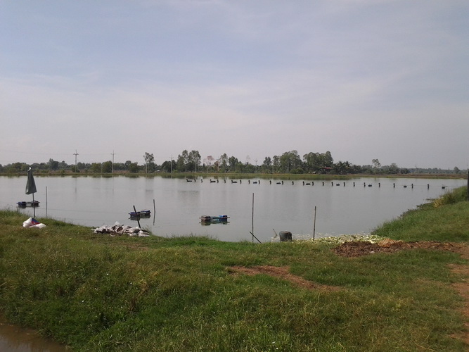 ยกเลิกทริบ/25/11/55น้องช่อนบ้านสร้าง