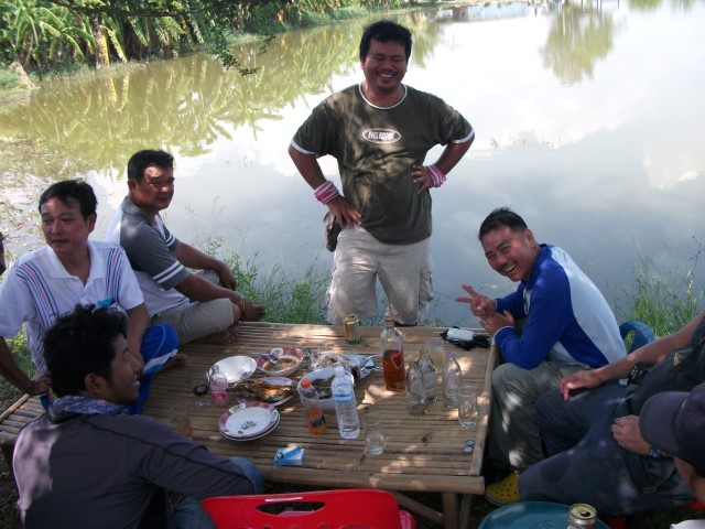 กะพงพานทอง 2