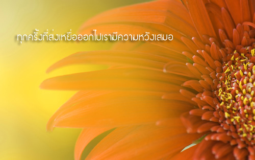 คำคมนักตกปลา ครั้งที่ 5