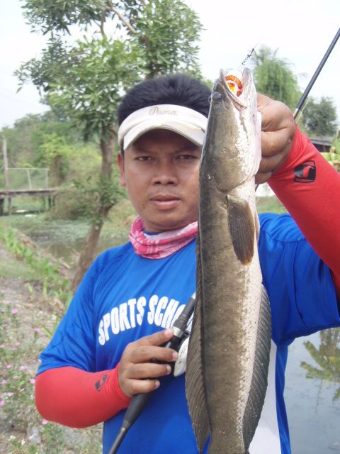 คัดไซด์ ในคลอง คับท่าน