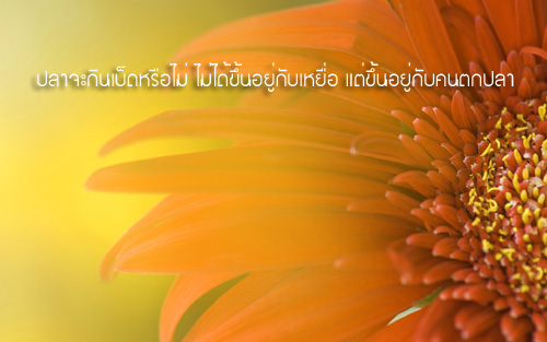 คำคมนักตกปลา ครั้งที่ 6