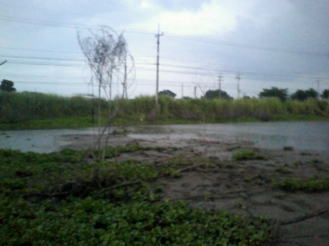 หลังเลิกงานครับ เย็นๆ กับฝน