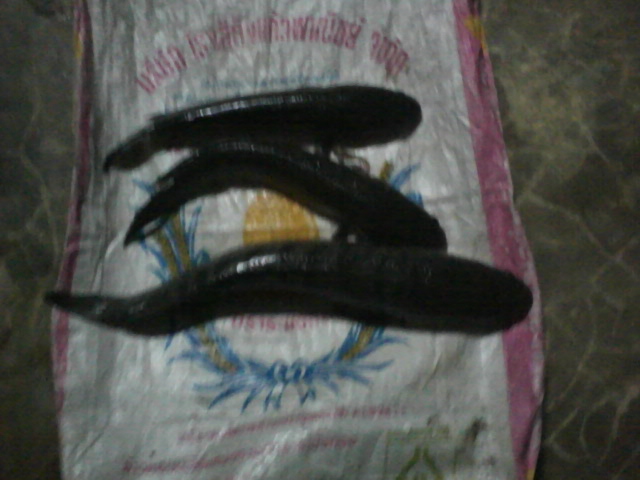 หลังเลิกงานครับ เย็นๆ กับฝน