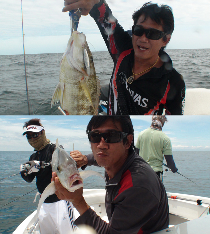 7seas Meeting Micro Jig at PATTAYA Part 1