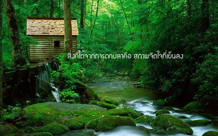 คำคมนักตกปลา ครั้งที่ 15