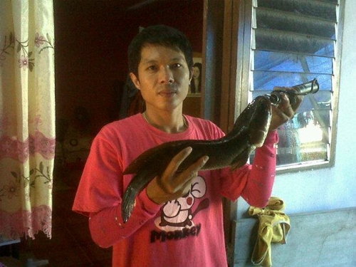 ปลาช่อนโดน.......ส้น_ีนเข้าแล้ว....5555