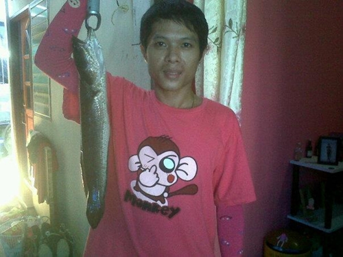 ปลาช่อนโดน.......ส้น_ีนเข้าแล้ว....5555