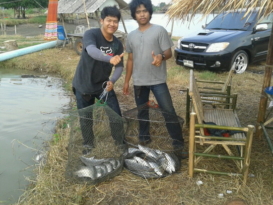 เสาร์นี้เจอกัน บ่อตกปลากะพงวังตะเคียน