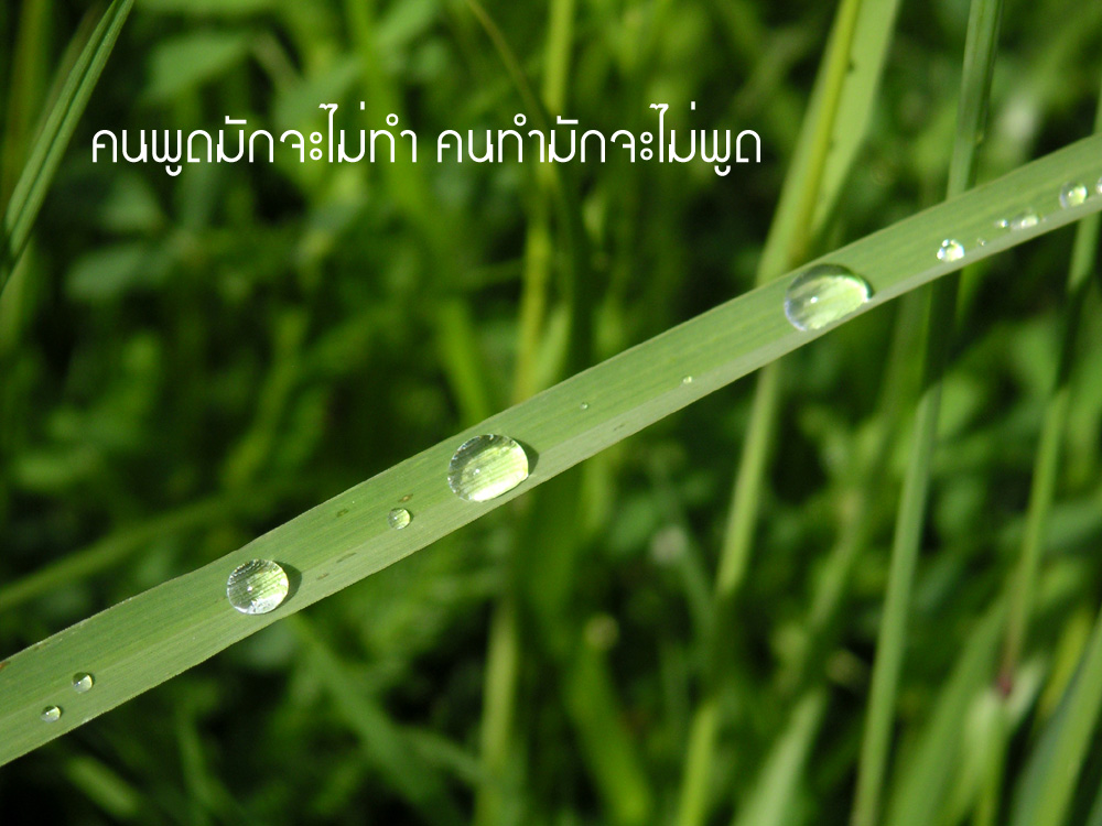 คำคมนักตกปลา ครั้งที่ 17(นอกเรื่องตกปลา)