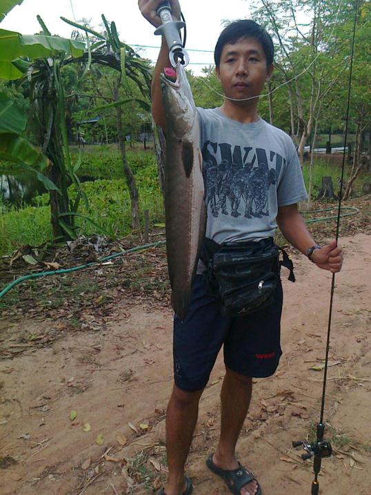 พักจากแนวรบกับปลารวม