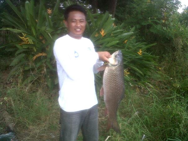 ลองส่งคับ...