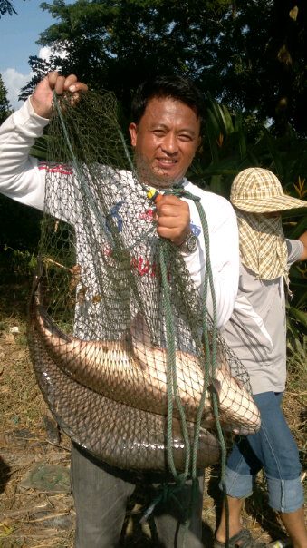 ลองส่งคับ...