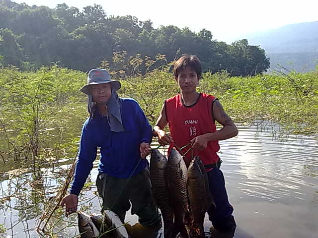 ลองส่งครับ