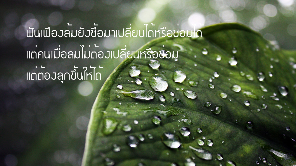 คำคมนักตกปลา ครั้งที่ 22