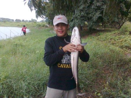วันอาทิตนี้นำเสนอชโดไช้กำลังดีคับพี่น้อง