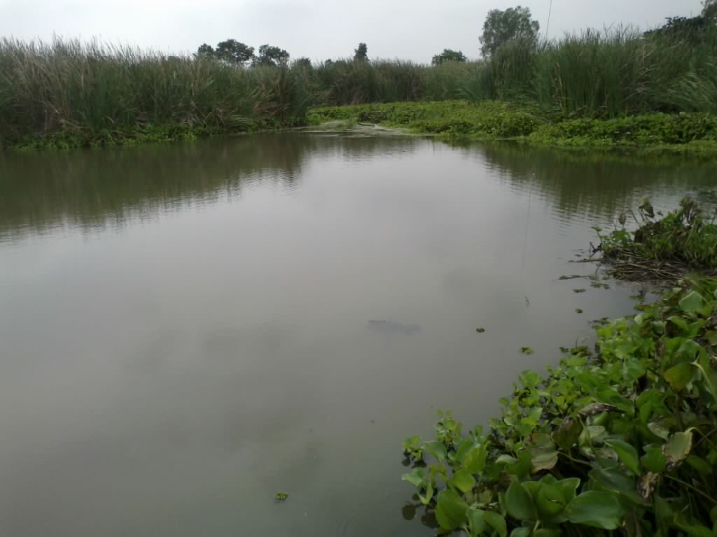 จิบเล็กๆกับทีมงานM. fishing