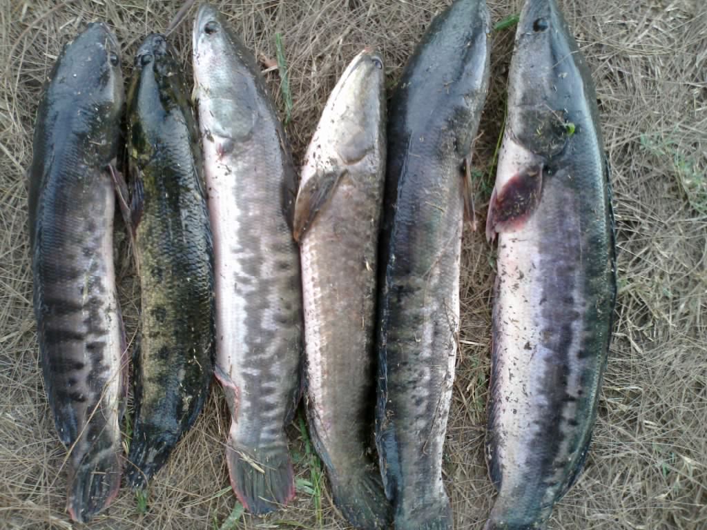จิบเล็กๆกับทีมงานM. fishing