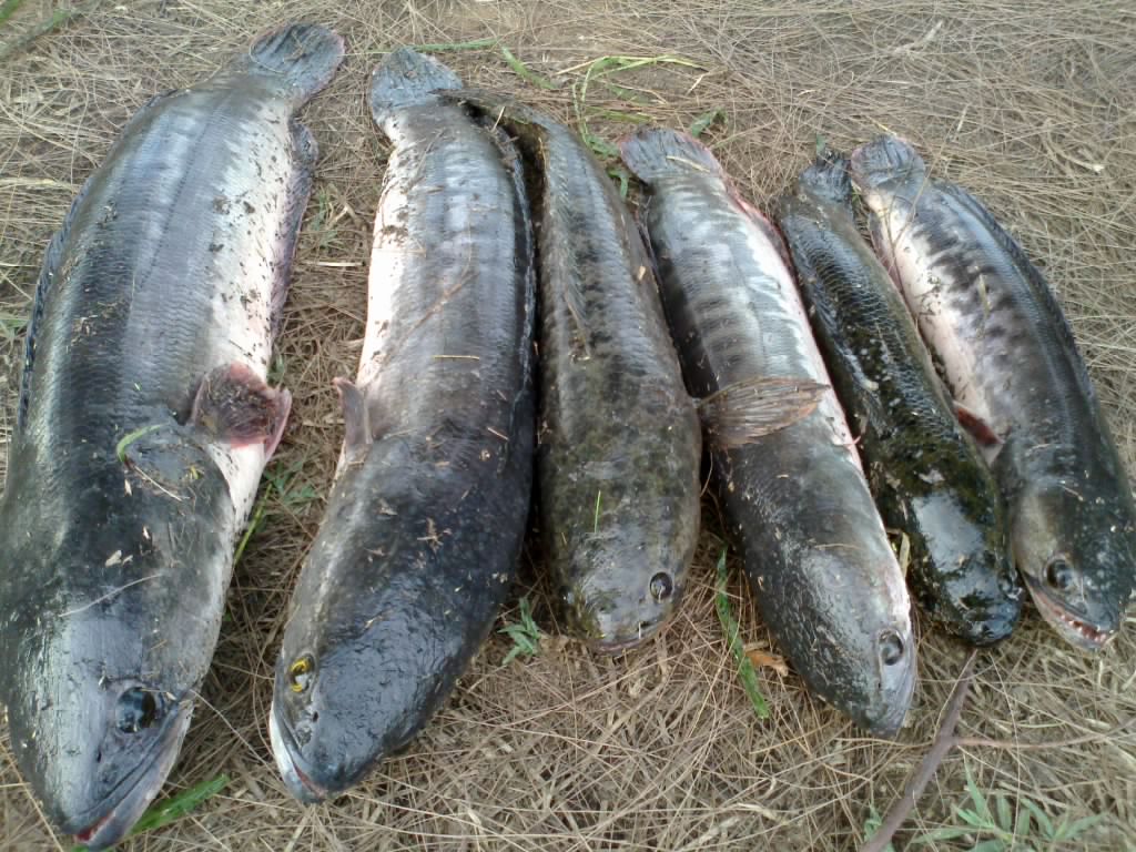 จิบเล็กๆกับทีมงานM. fishing