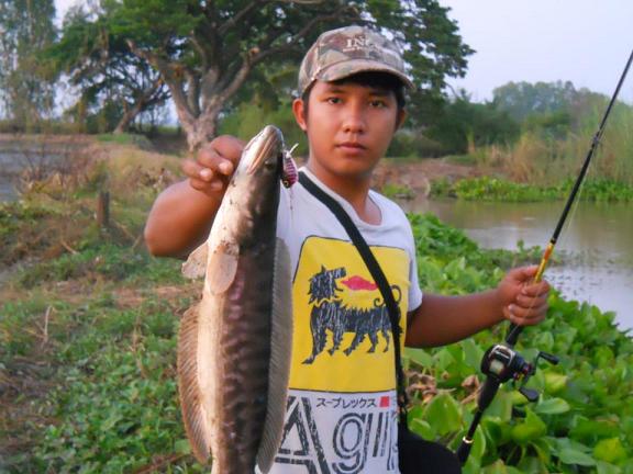 ช่วยดูทีครับว่า จะเป็นของดีเมือง พิดโลก ได้ เปล่า