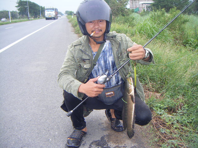 รวมพลคนตีเหยื่อinอยุธยา