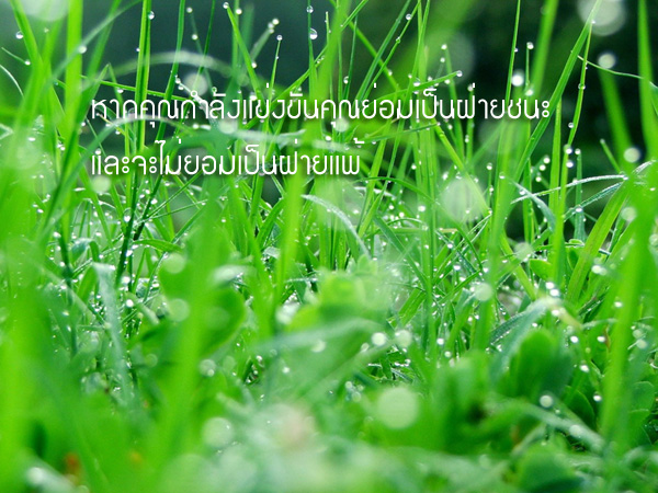 คำคมนักตกปลา ครั้งที่ 25(นอกเรื่องตกปลา)