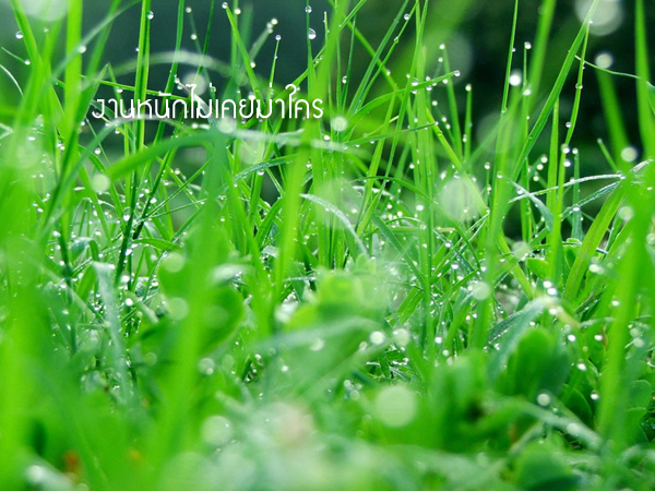 คำคมนักตกปลา ครั้งที่ 27(นอกเรื่องตกปลา)