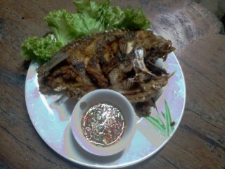 ปลานิลใหญ่ อร่อยๆ บึงบึกครับ