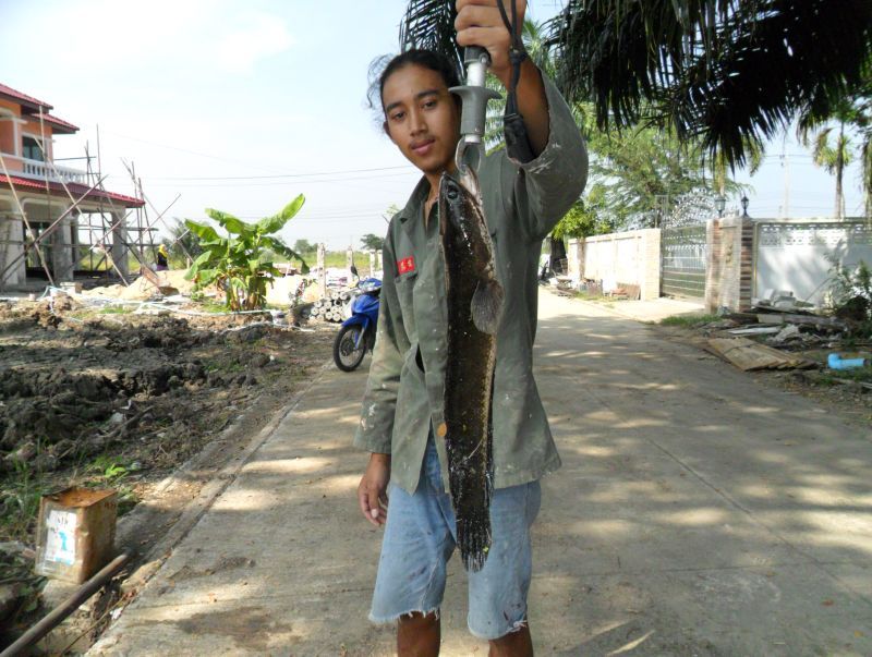 กรุช่อน ......บ่อปูนร้างใน  กทม.