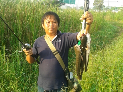 "กัตจัง"กบตีจิบ กับ กบตาบอดแสนนครพนมที่ตามหามาปีกว่า