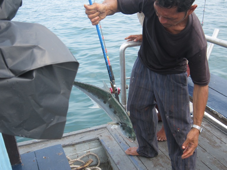 OCTION คันOKUMA  Similan  Jigging