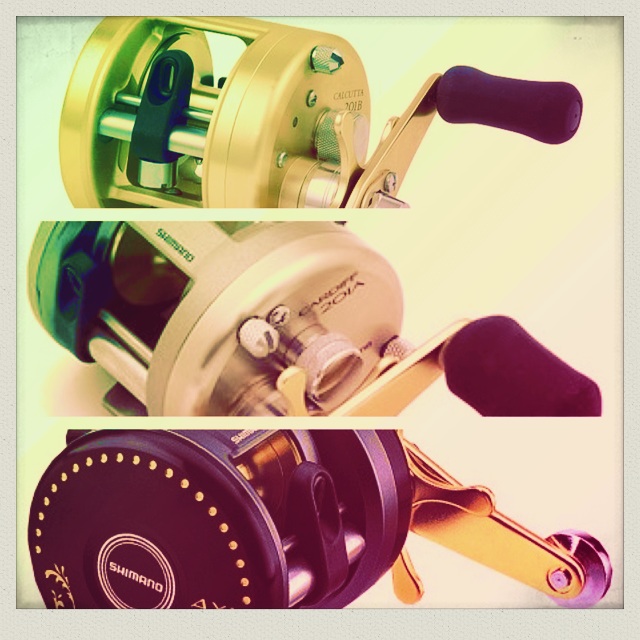CT201 B /CARDIFF 201A /Shimano Axis 401F