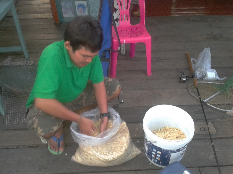 พักเรื่องช่อนนา...ไปตกปลาที่บางไทร