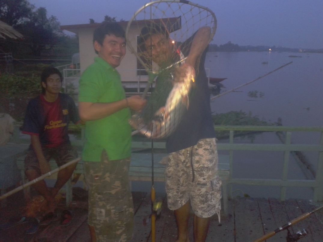 พักเรื่องช่อนนา...ไปตกปลาที่บางไทร
